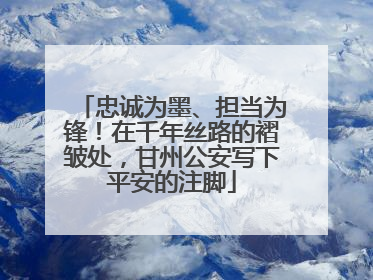 忠诚为墨、担当为锋！在千年丝路的褶皱处，甘州公安写下平安的注脚