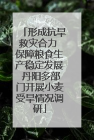 形成抗旱救灾合力 保障粮食生产稳定发展 丹阳多部门开展小麦受旱情况调研