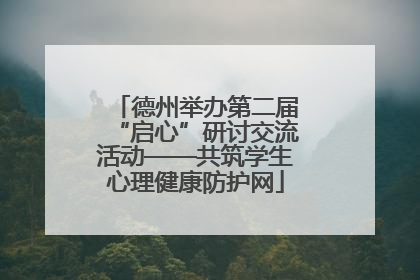 德州举办第二届“启心”研讨交流活动——共筑学生心理健康防护网