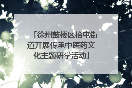 徐州鼓楼区拾屯街道开展传承中医药文化主题研学活动