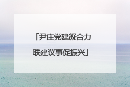 尹庄党建凝合力 联建议事促振兴