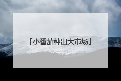小番茄种出大市场