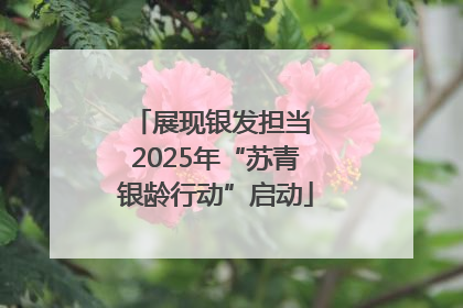 展现银发担当 2025年“苏青银龄行动”启动