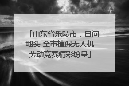 山东省乐陵市：田间地头 全市植保无人机劳动竞赛精彩纷呈