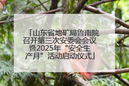 山东省地矿局鲁南院召开第三次安委会会议暨2025年“安全生产月”活动启动仪式