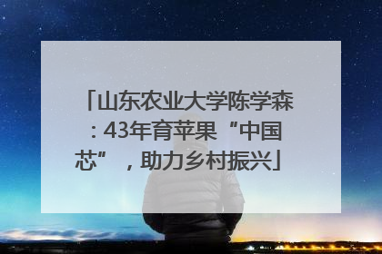 山东农业大学陈学森：43年育苹果“中国芯”，助力乡村振兴