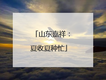 山东嘉祥：夏收夏种忙