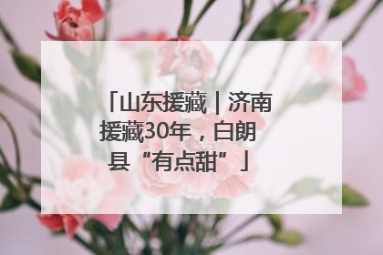 山东援藏｜济南援藏30年，白朗县“有点甜”