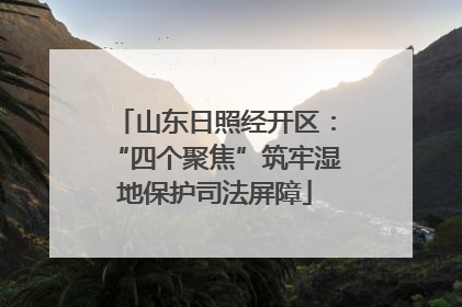 山东日照经开区：“四个聚焦”筑牢湿地保护司法屏障