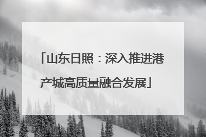 山东日照：深入推进港产城高质量融合发展