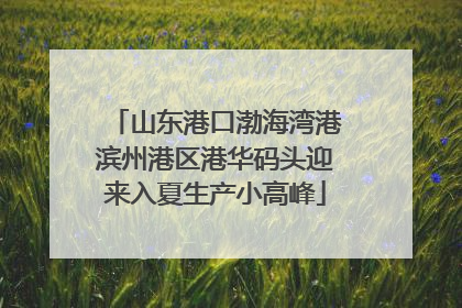 山东港口渤海湾港滨州港区港华码头迎来入夏生产小高峰