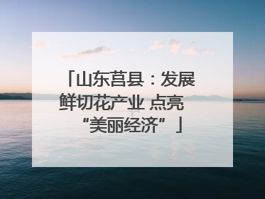 山东莒县：发展鲜切花产业 点亮“美丽经济”