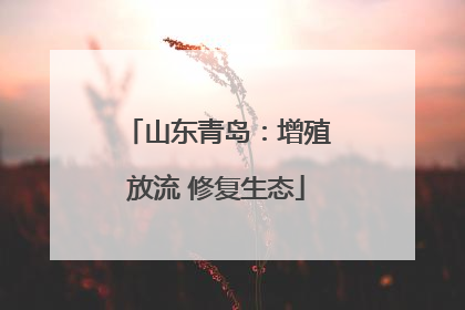 山东青岛：增殖放流 修复生态