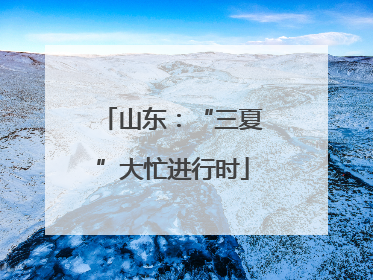 山东：“三夏”大忙进行时