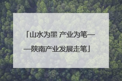 山水为墨 产业为笔——陕南产业发展走笔