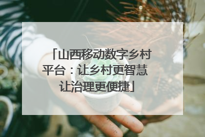 山西移动数字乡村平台：让乡村更智慧 让治理更便捷