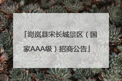 岢岚县宋长城景区（国家AAA级）招商公告