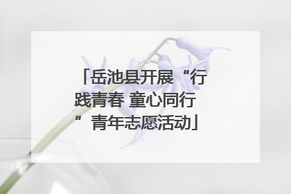 岳池县开展“行践青春 童心同行”青年志愿活动