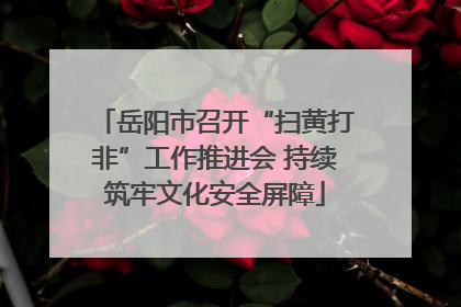 岳阳市召开“扫黄打非”工作推进会 持续筑牢文化安全屏障