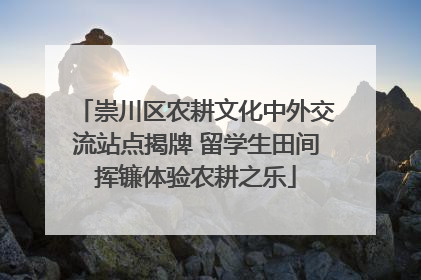崇川区农耕文化中外交流站点揭牌 留学生田间挥镰体验农耕之乐