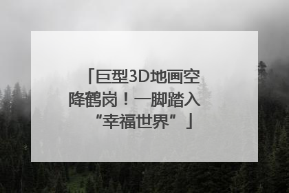 巨型3D地画空降鹤岗！一脚踏入“幸福世界”