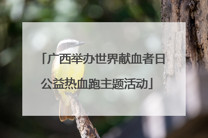 广西举办世界献血者日公益热血跑主题活动