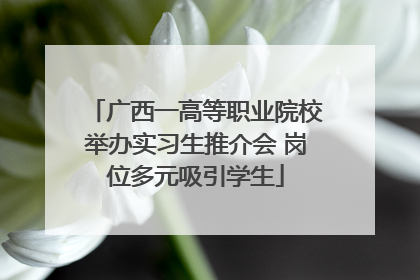 广西一高等职业院校举办实习生推介会 岗位多元吸引学生