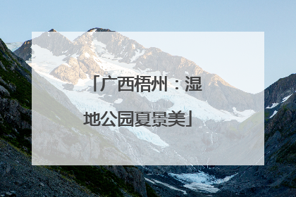 广西梧州：湿地公园夏景美