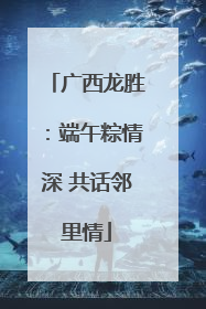 广西龙胜：端午粽情深 共话邻里情