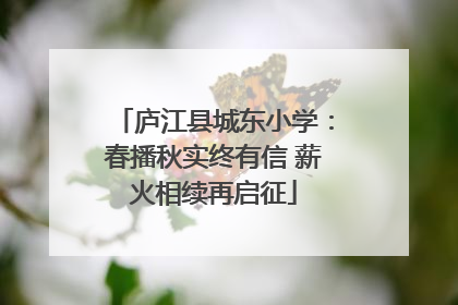 庐江县城东小学：春播秋实终有信 薪火相续再启征