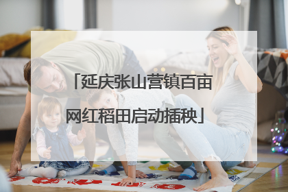 延庆张山营镇百亩网红稻田启动插秧
