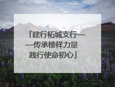 建行柘城支行——传承榜样力量 践行使命初心