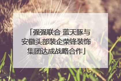强强联合 蓝天豚与安徽头部装企荣锋装饰集团达成战略合作
