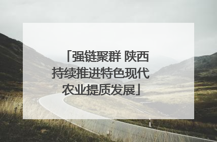 强链聚群 陕西持续推进特色现代农业提质发展