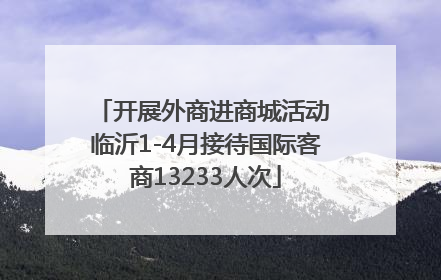 开展外商进商城活动 临沂1-4月接待国际客商13233人次