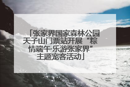 张家界国家森林公园天子山门票站开展“粽情端午·乐游张家界”主题宠客活动