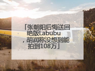 张朝阳后悔送回绝版Labubu，胡润称没想到能拍到108万