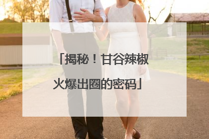 揭秘！甘谷辣椒火爆出圈的密码