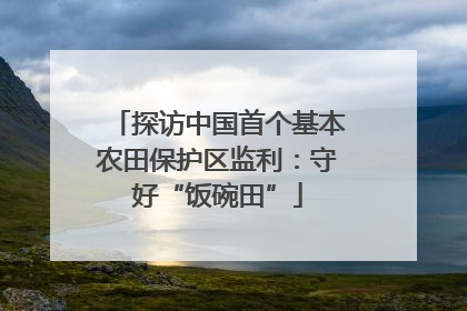探访中国首个基本农田保护区监利：守好“饭碗田”