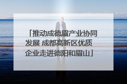 推动成德眉产业协同发展 成都高新区优质企业走进德阳和眉山