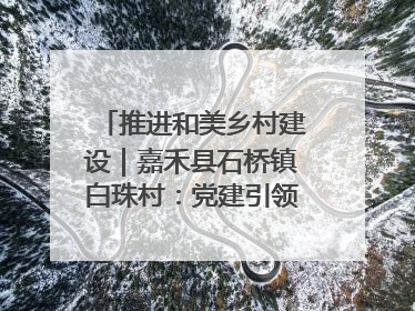 推进和美乡村建设｜嘉禾县石桥镇白珠村：党建引领破“空”局 乡贤聚力绘就新图景