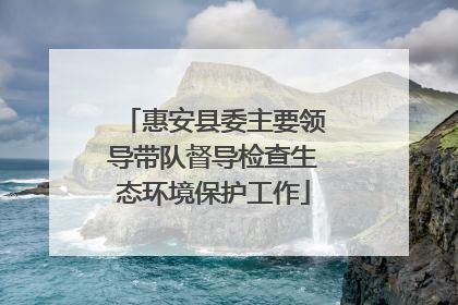 惠安县委主要领导带队督导检查生态环境保护工作