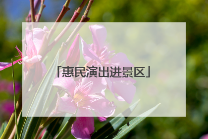 惠民演出进景区