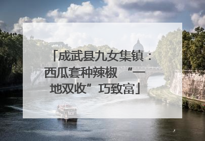 成武县九女集镇：西瓜套种辣椒 “一地双收”巧致富