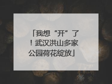 我想“开”了！武汉洪山多家公园荷花绽放