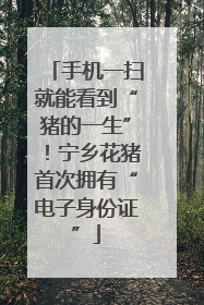 手机一扫就能看到“猪的一生”！宁乡花猪首次拥有“电子身份证”