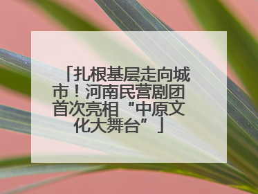扎根基层走向城市！河南民营剧团首次亮相“中原文化大舞台”