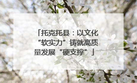 托克托县：以文化“软实力”铸就高质量发展“硬支撑”
