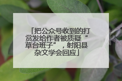 把公众号收到的打赏发给作者被质疑“草台班子”，射阳县杂文学会回应