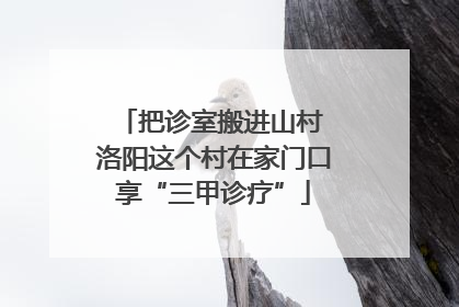 把诊室搬进山村 洛阳这个村在家门口享“三甲诊疗”